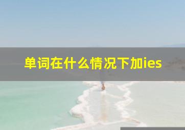 单词在什么情况下加ies