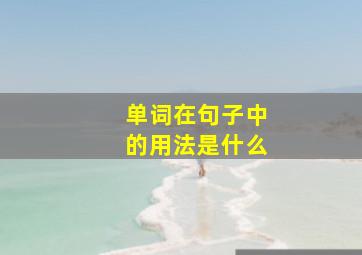 单词在句子中的用法是什么