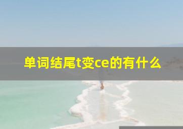 单词结尾t变ce的有什么