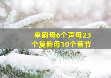 单韵母6个声母23个复韵母10个音节