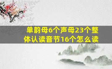 单韵母6个声母23个整体认读音节16个怎么读