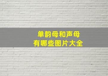 单韵母和声母有哪些图片大全