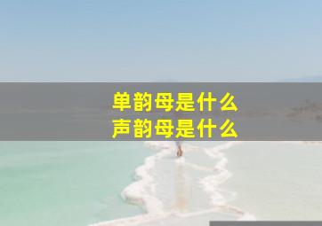 单韵母是什么声韵母是什么