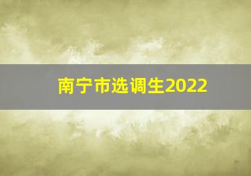 南宁市选调生2022