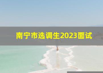 南宁市选调生2023面试