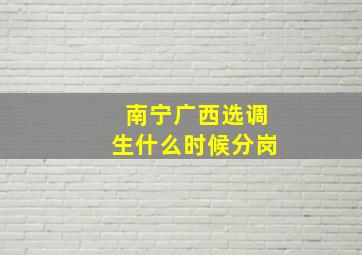 南宁广西选调生什么时候分岗