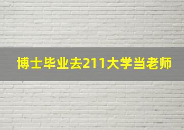 博士毕业去211大学当老师