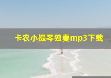 卡农小提琴独奏mp3下载