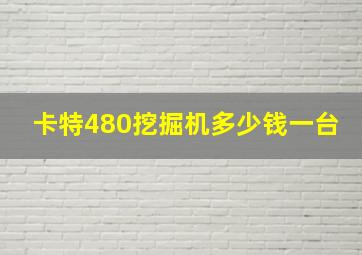 卡特480挖掘机多少钱一台