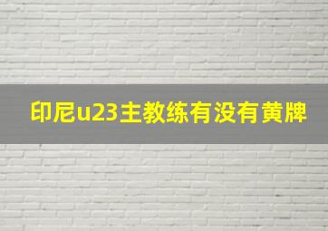 印尼u23主教练有没有黄牌