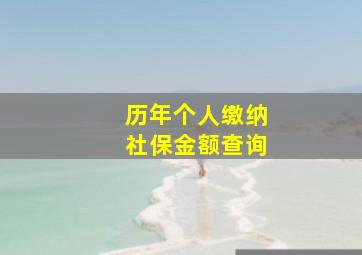 历年个人缴纳社保金额查询