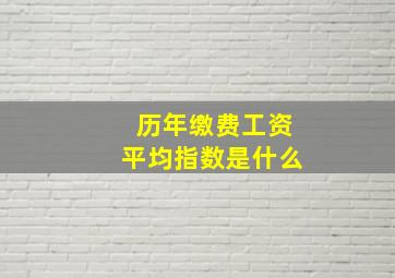 历年缴费工资平均指数是什么