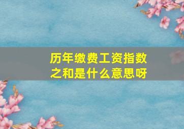 历年缴费工资指数之和是什么意思呀