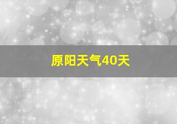 原阳天气40天