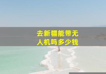 去新疆能带无人机吗多少钱