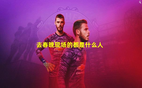 去春晚现场的都是什么人