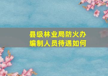 县级林业局防火办编制人员待遇如何