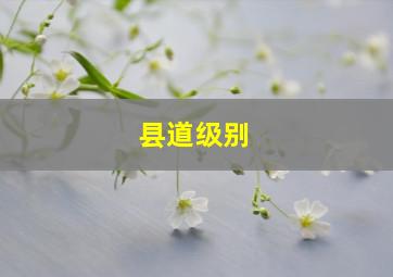 县道级别