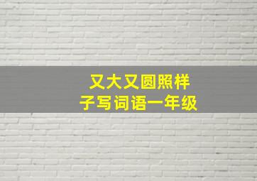 又大又圆照样子写词语一年级