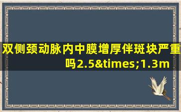 双侧颈动脉内中膜增厚伴斑块严重吗2.5×1.3mm