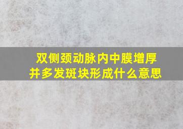 双侧颈动脉内中膜增厚并多发斑块形成什么意思