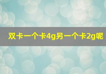 双卡一个卡4g另一个卡2g呢