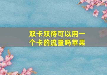 双卡双待可以用一个卡的流量吗苹果