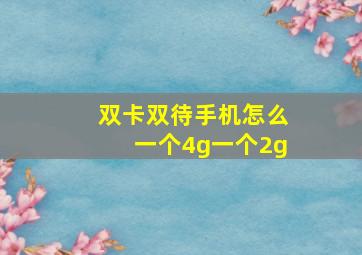 双卡双待手机怎么一个4g一个2g