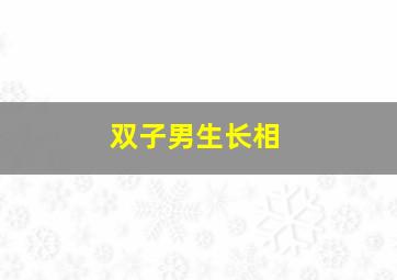 双子男生长相