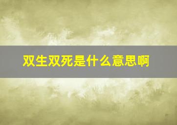 双生双死是什么意思啊