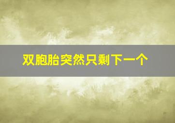 双胞胎突然只剩下一个