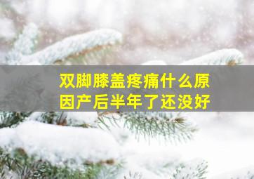 双脚膝盖疼痛什么原因产后半年了还没好