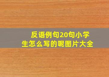 反语例句20句小学生怎么写的呢图片大全