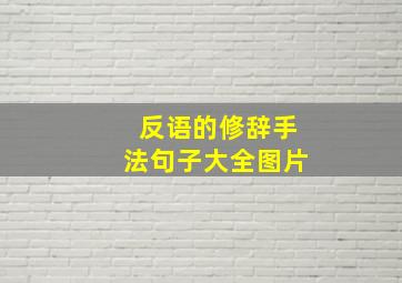 反语的修辞手法句子大全图片