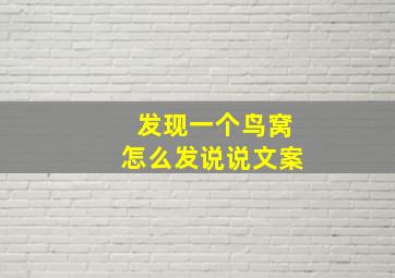 发现一个鸟窝怎么发说说文案