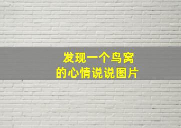 发现一个鸟窝的心情说说图片