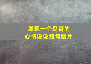 发现一个鸟窝的心情说说短句图片