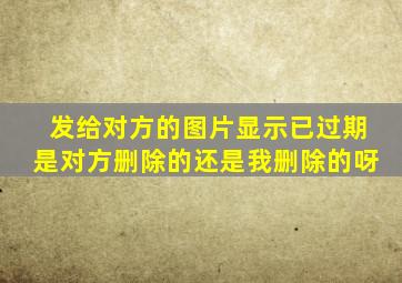 发给对方的图片显示已过期是对方删除的还是我删除的呀