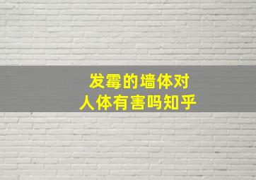 发霉的墙体对人体有害吗知乎