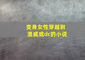 变身女性穿越到漫威或dc的小说