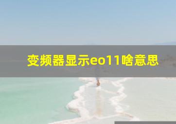 变频器显示eo11啥意思