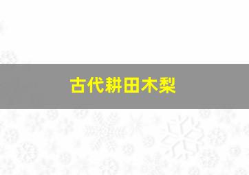 古代耕田木梨