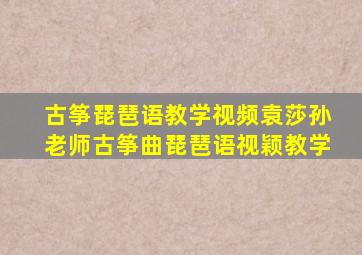 古筝琵琶语教学视频袁莎孙老师古筝曲琵琶语视颖教学