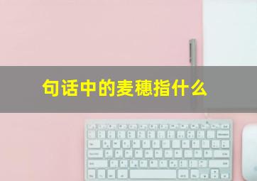 句话中的麦穗指什么