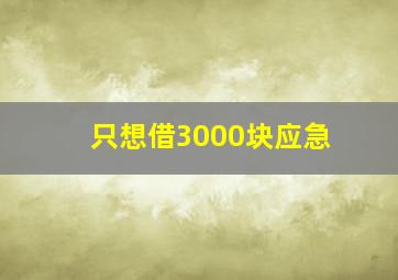 只想借3000块应急