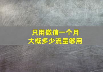 只用微信一个月大概多少流量够用