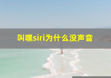 叫嘿siri为什么没声音