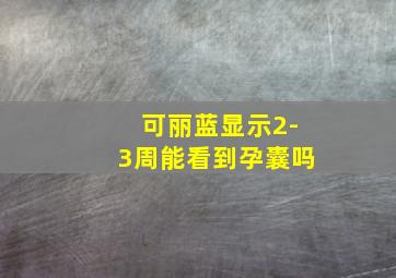 可丽蓝显示2-3周能看到孕囊吗