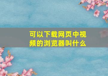 可以下载网页中视频的浏览器叫什么