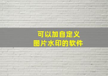 可以加自定义图片水印的软件